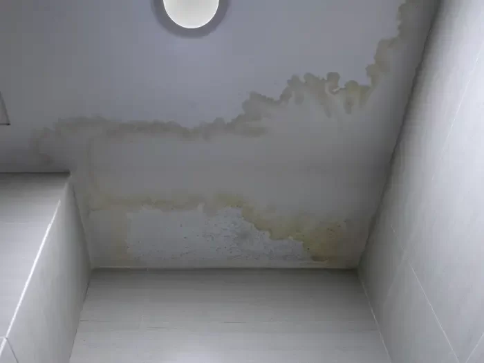 Humidité au plafond